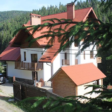 Біля Витягу سلافسكي المظهر الخارجي الصورة